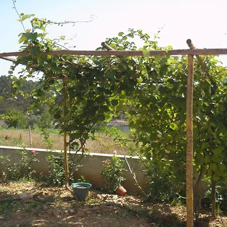 Casa Do Rio * Figueiro Dos Vinhos